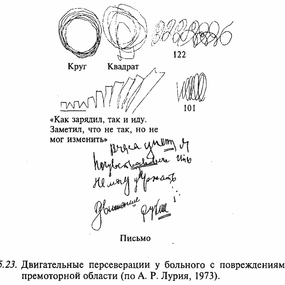 ПЕРСЕВЕРАЦИИ 